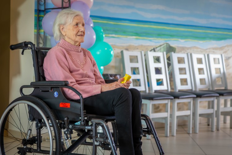 Galeria zdjęcie #20